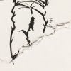 NussSnowboarder3