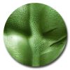 Superhero_Surfboard_green_3 Superhero_Surfboard_green_3